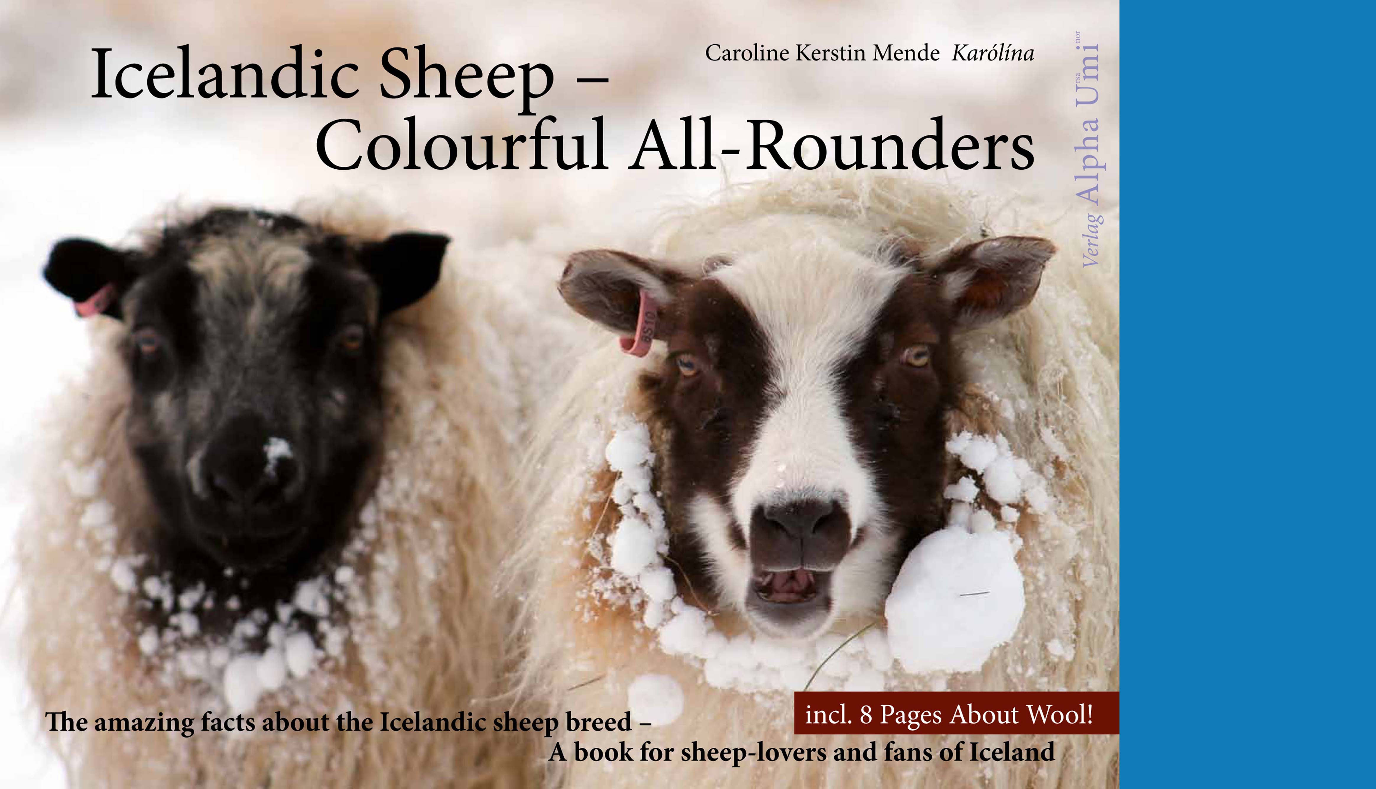 Internet blau 1509 Icelandic sheep Cover